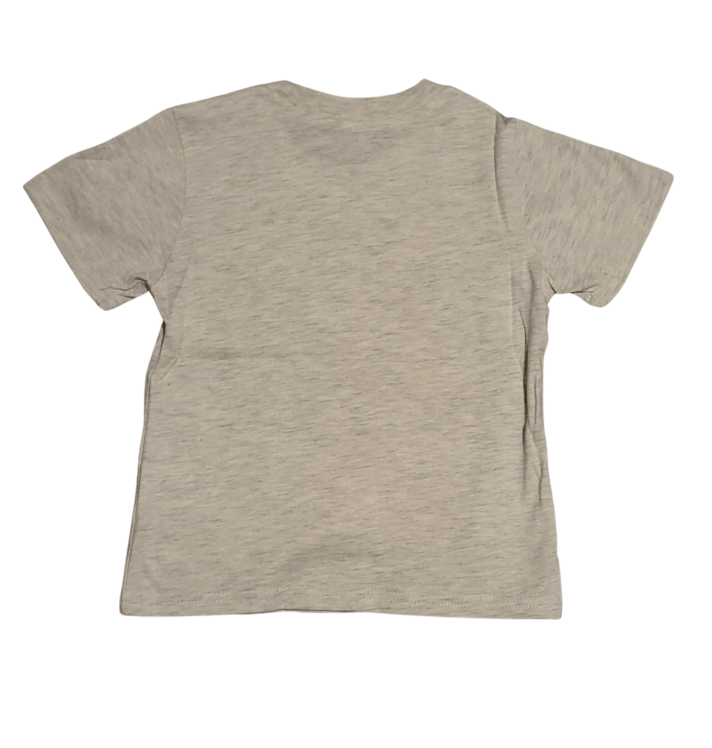 Disney's Lion Guard "Team Roar" Toddler Boy T-Shirt - Little Looms