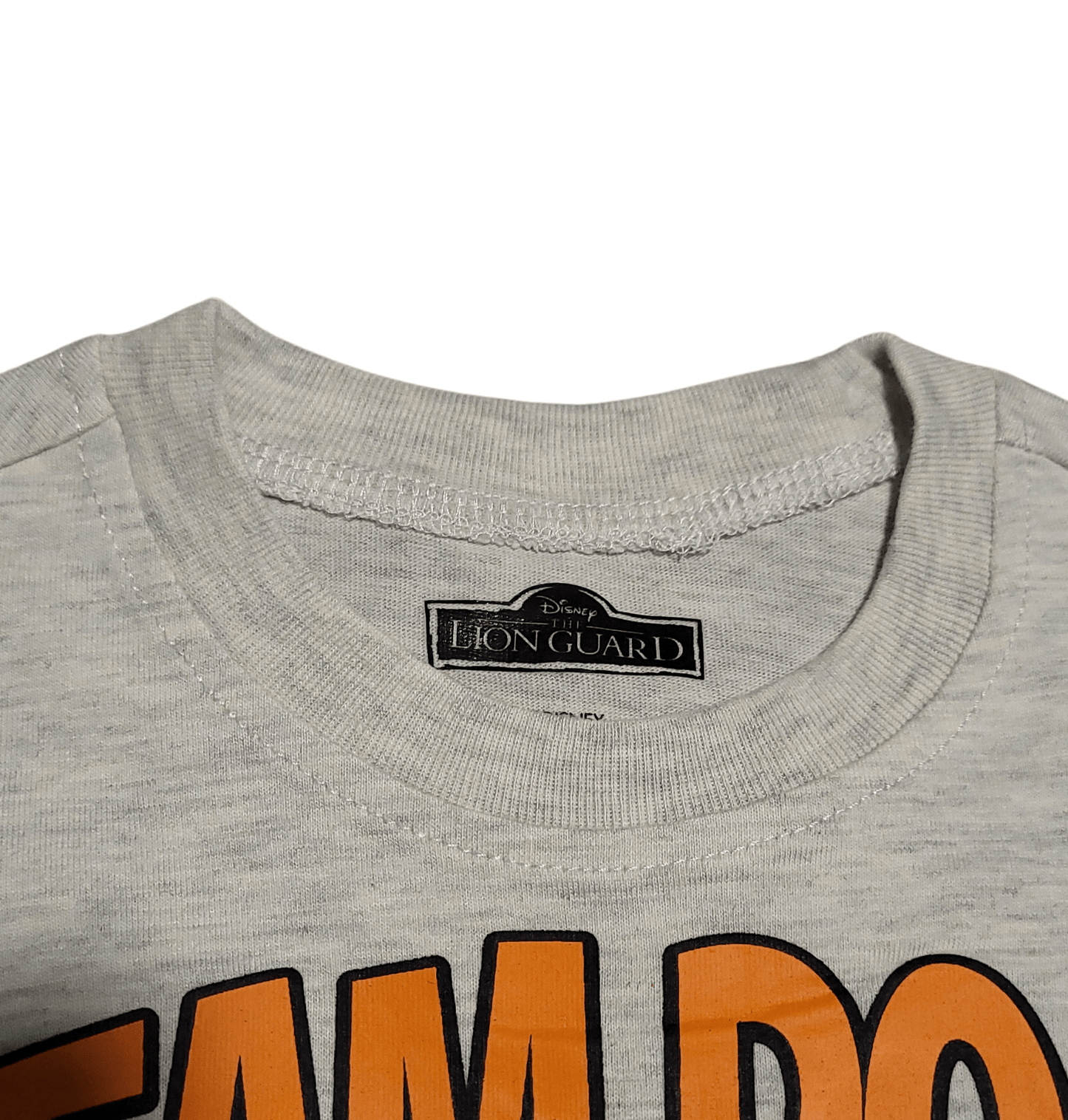 Disney's Lion Guard "Team Roar" Toddler Boy T-Shirt - Little Looms