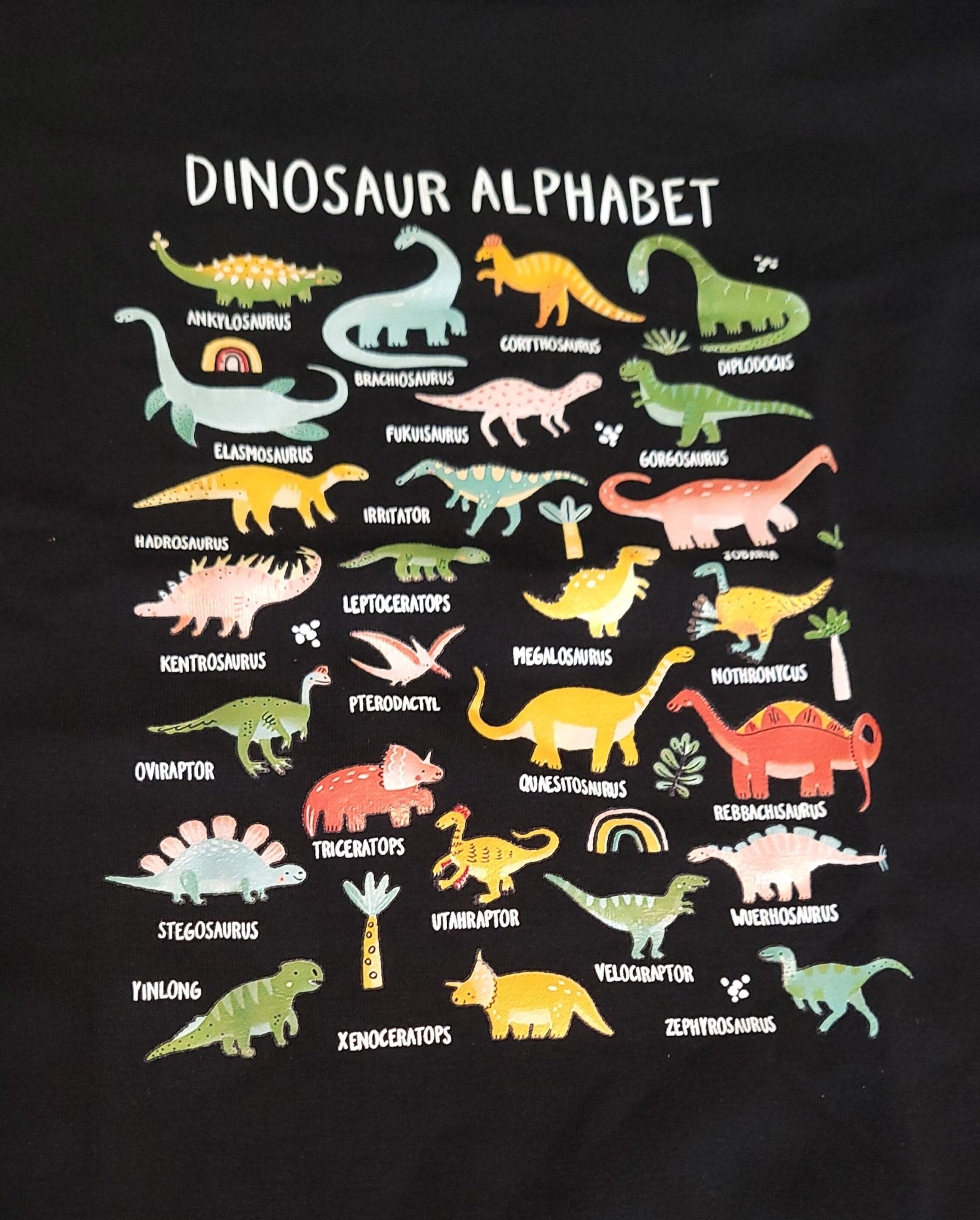 Dinosaur Alphabet T-shirt - Little Looms