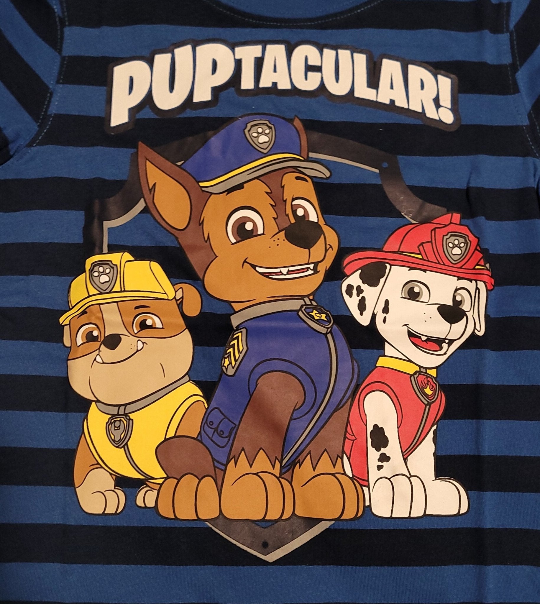 Paw Patrol Puptacular Toddler Boy T-shirt - Little Looms