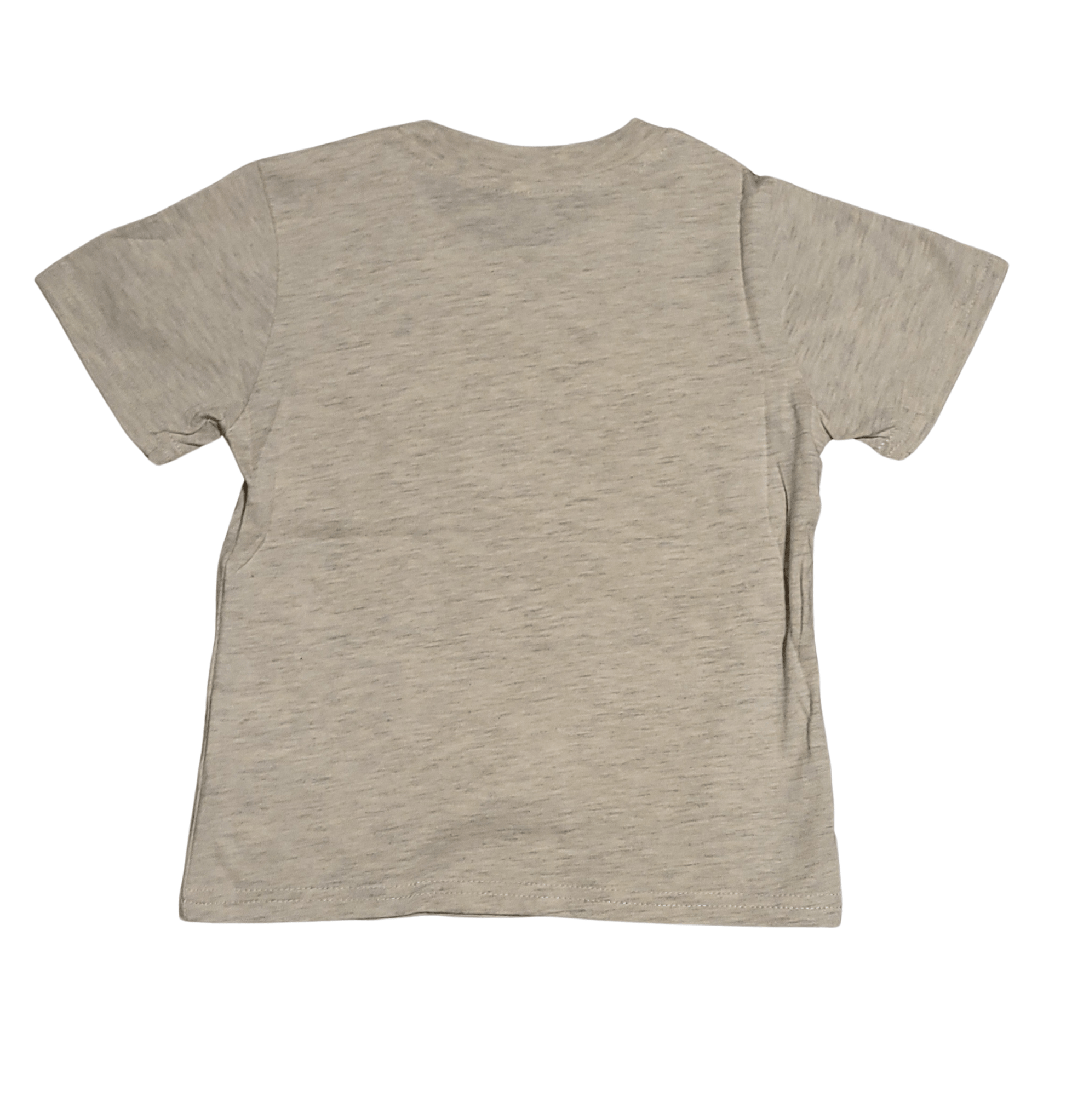 Disney's Lion Guard "Team Roar" Toddler Boy T-Shirt - Little Looms